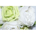 Lime Ceramic Milk Jug with Peonies and Roses